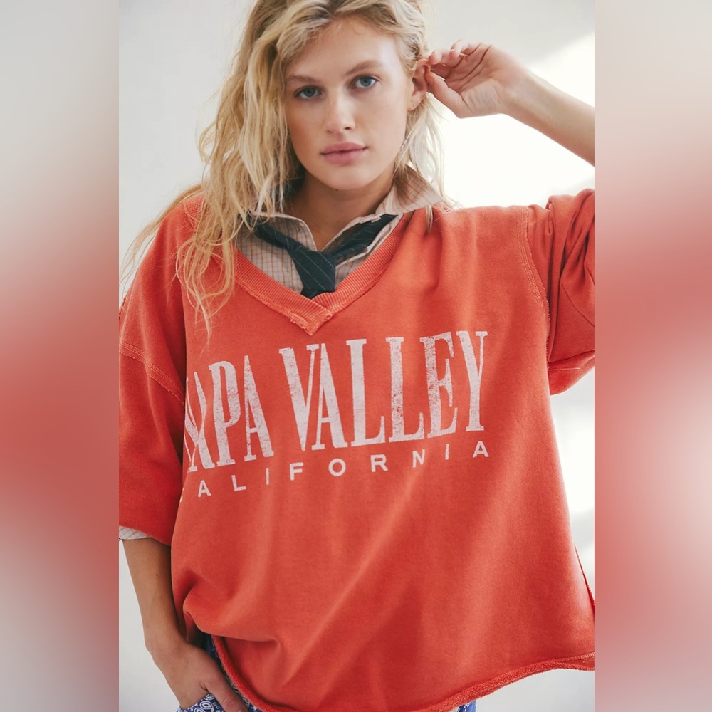 SOLD- We The Free by Free People Venice V-Neck Graphic Sweatshirt (Napa Valley)